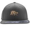 Flexfit 110F Structured Flat Bill Snapback Hat Thumbnail