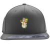 Flexfit 110F Structured Flat Bill Snapback Hat Thumbnail