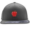 Flexfit 110F Structured Flat Bill Snapback Hat Thumbnail