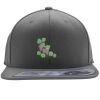 Flexfit 110F Structured Flat Bill Snapback Hat Thumbnail