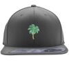 Flexfit 110F Structured Flat Bill Snapback Hat Thumbnail