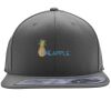 Flexfit 110F Structured Flat Bill Snapback Hat Thumbnail