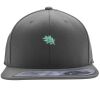 Flexfit 110F Structured Flat Bill Snapback Hat Thumbnail