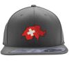 Flexfit 110F Structured Flat Bill Snapback Hat Thumbnail