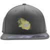 Flexfit 110F Structured Flat Bill Snapback Hat Thumbnail