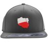 Flexfit 110F Structured Flat Bill Snapback Hat Thumbnail