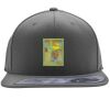 Flexfit 110F Structured Flat Bill Snapback Hat Thumbnail
