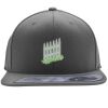 Flexfit 110F Structured Flat Bill Snapback Hat Thumbnail