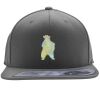 Flexfit 110F Structured Flat Bill Snapback Hat Thumbnail