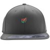 Flexfit 110F Structured Flat Bill Snapback Hat Thumbnail