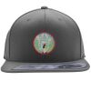 Flexfit 110F Structured Flat Bill Snapback Hat Thumbnail