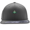 Flexfit 110F Structured Flat Bill Snapback Hat Thumbnail