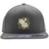 Flexfit 110F Structured Flat Bill Snapback Hat Thumbnail