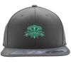 Flexfit 110F Structured Flat Bill Snapback Hat Thumbnail