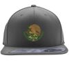 Flexfit 110F Structured Flat Bill Snapback Hat Thumbnail
