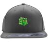 Flexfit 110F Structured Flat Bill Snapback Hat Thumbnail